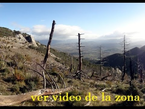 Sierra-de-Merindad-de-Cuesta-Urria - La Sierra Noticias Sierra de Merindad de Cuesta Urria