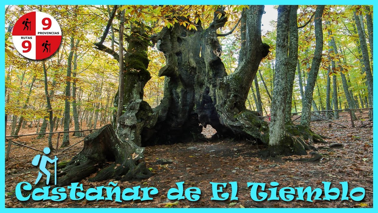 Excursiones-por-Tiemblo - La Sierra Noticias Excursiones por Tiemblo