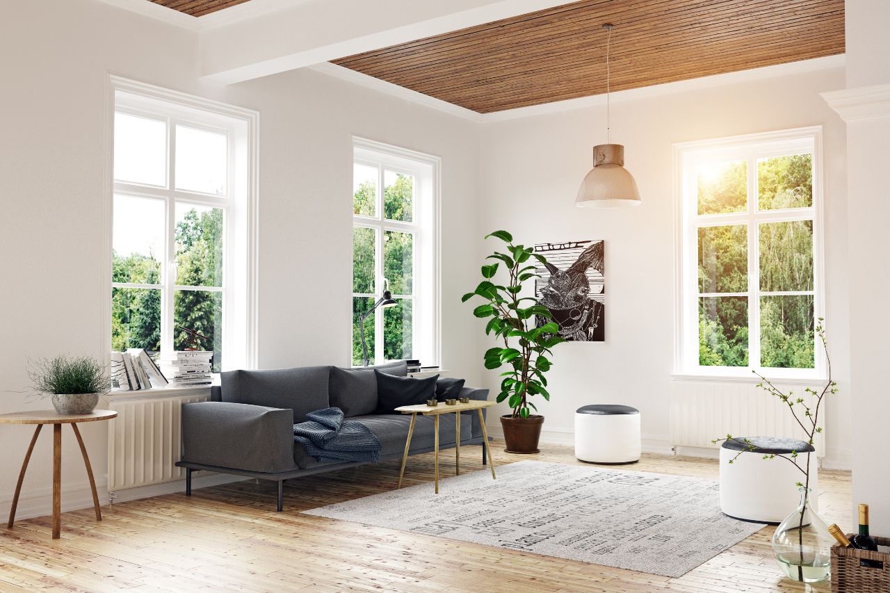 naturaleza interiores - IP - La Sierra Noticias