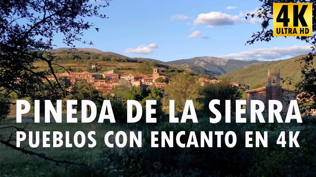 Historia y curiosidades de 	Pineda de la Sierra