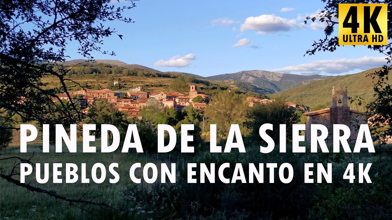 Historia-y-curiosidades-de-Pineda-de-la-Sierra - La Sierra Noticias Historia y curiosidades de Pineda de la Sierra