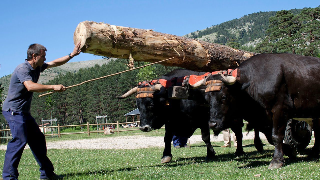 Historia-y-curiosidades-de-Quintanar-de-la-Sierra - La Sierra Noticias Historia y curiosidades de Quintanar de la Sierra