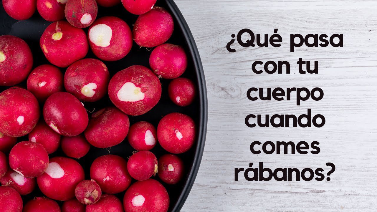 Historia-y-curiosidades-de-Rabanos - La Sierra Noticias Historia y curiosidades de Rábanos