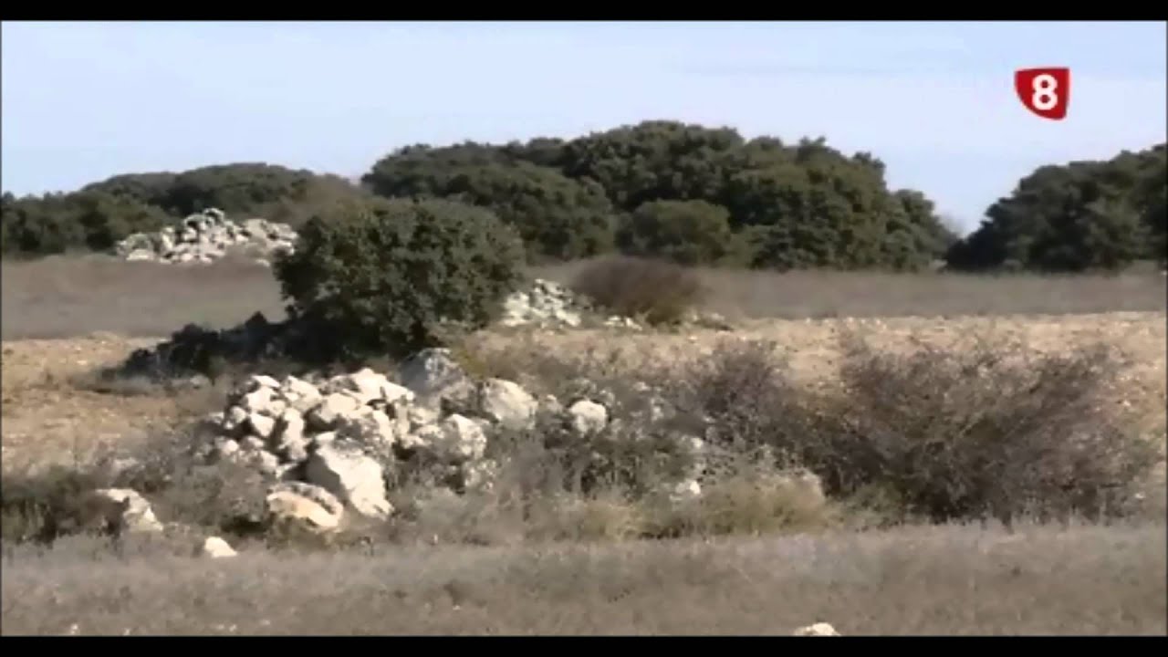 Historia y curiosidades de 	Villaquirán de los Infantes