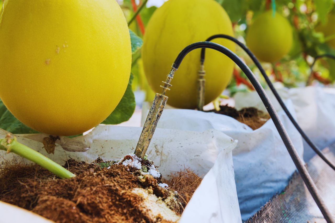 productos para suelos agrícolas - IP - La Sierra Noticias