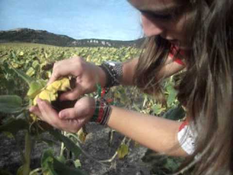 Vivir-en-Cascajares-de-Bureba - La Sierra Noticias Vivir en Cascajares de Bureba
