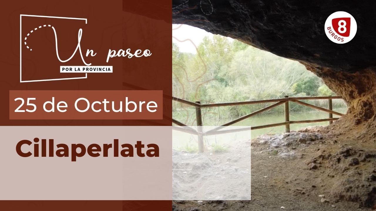 Vivir en 	Cillaperlata