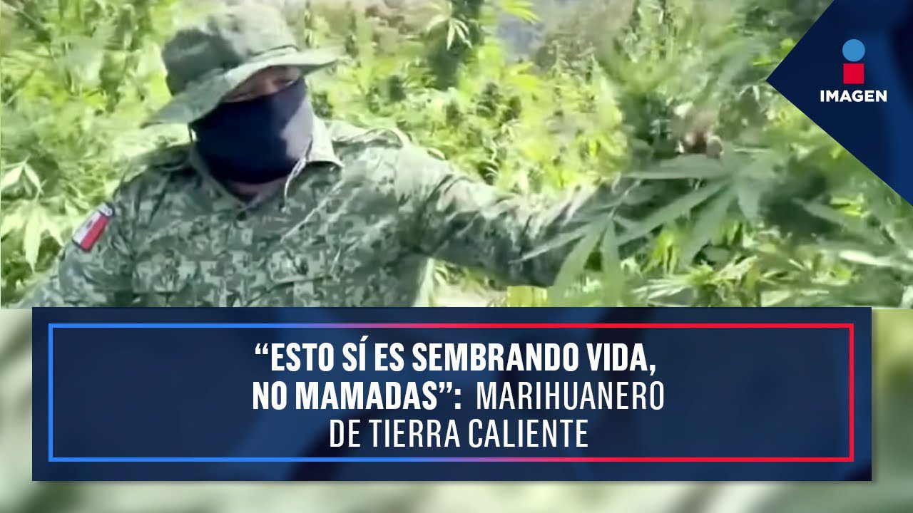 Vivir-en-Cogollos - La Sierra Noticias Vivir en Cogollos