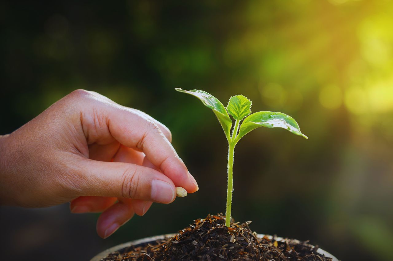 servicio a ganaderos y agricultores - IP - La Sierra Noticias