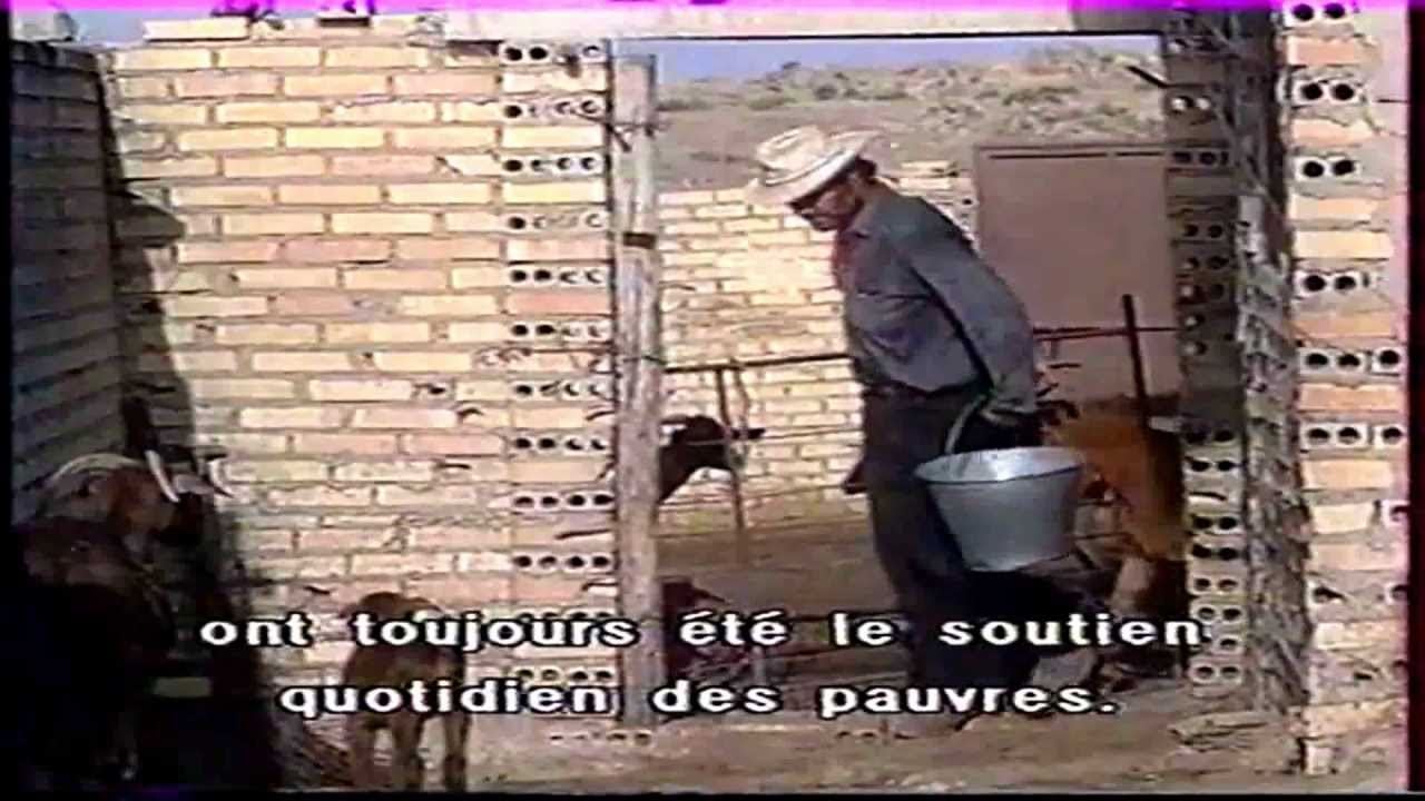 Historia y curiosidades de 	Cabrero