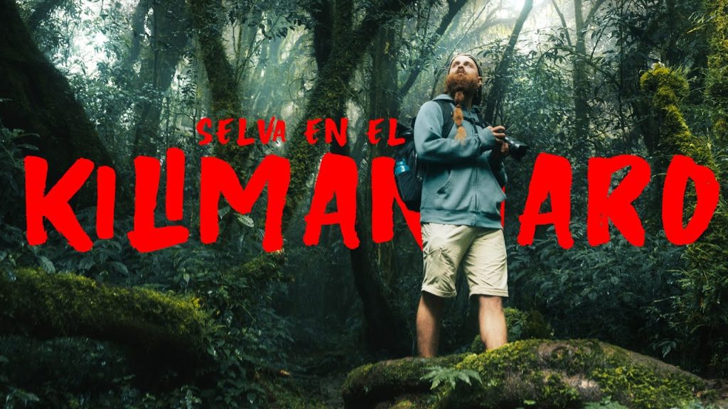 Las mejores rutas de senderismo en el Parque Nacional del Kilimanjaro