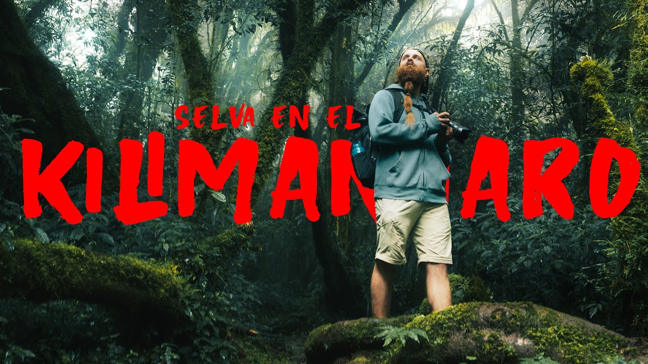 Las-mejores-rutas-de-senderismo-en-el-Parque-Nacional-del-Kilimanjaro - La Sierra Noticias Las mejores rutas de senderismo en el Parque Nacional del Kilimanjaro