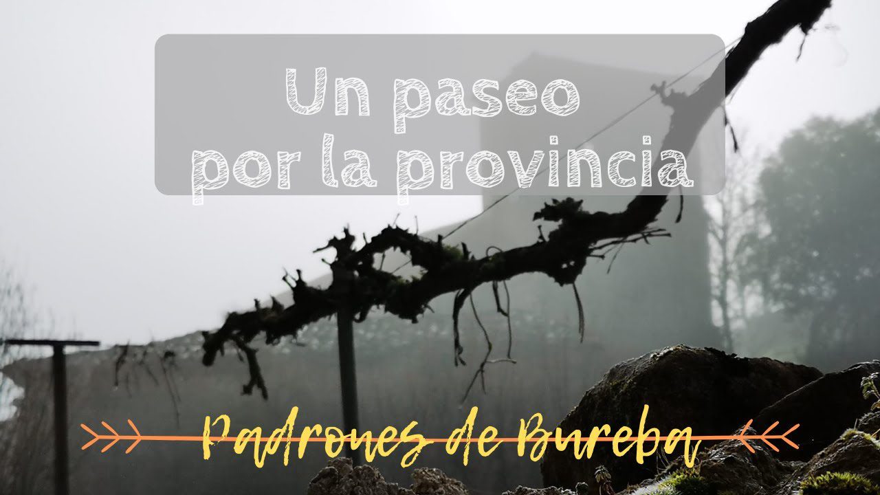 Vivir en 	Padrones de Bureba