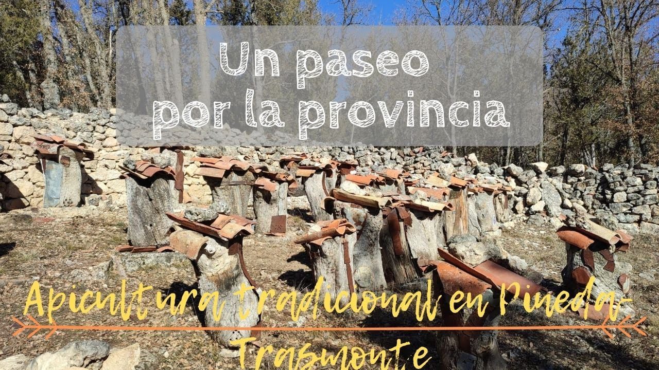 Vivir-en-Pineda-Trasmonte - La Sierra Noticias Vivir en Pineda Trasmonte