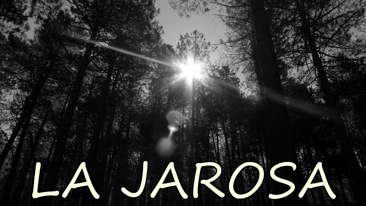 actividades-para-familias-en-Mejores-zonas-para-hacer-fotografias-otonales-en-la-Sierra-de-Madrid - La Sierra Noticias actividades para familias en Mejores zonas para hacer fotografías otoñales en la Sierra de Madrid