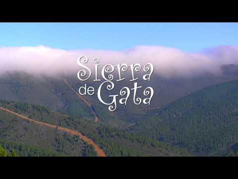 naturaleza y paisajes de Qué platos típicos comer en la Sierra de Gata