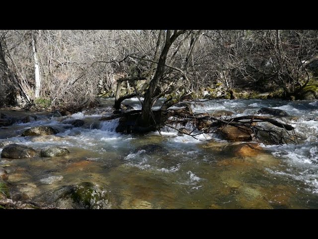 donde-dormir-en-Como-llegar-a-La-Pedriza-desde-Madrid-en-coche - La Sierra Noticias dónde dormir en Cómo llegar a La Pedriza desde Madrid en coche