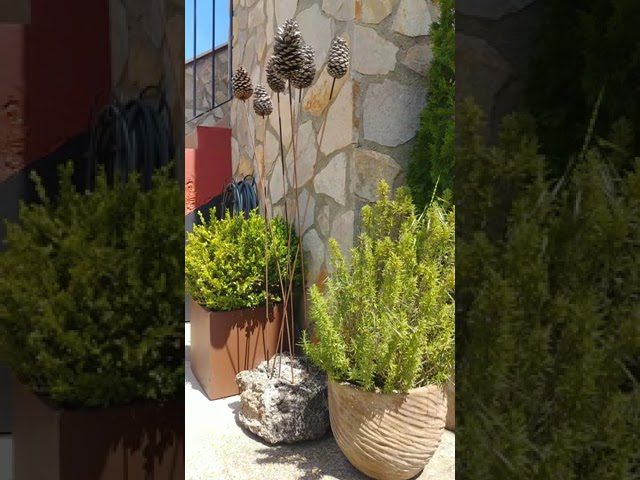 naturaleza y paisajes de Alojamientos rurales baratos en la Sierra de Béjar