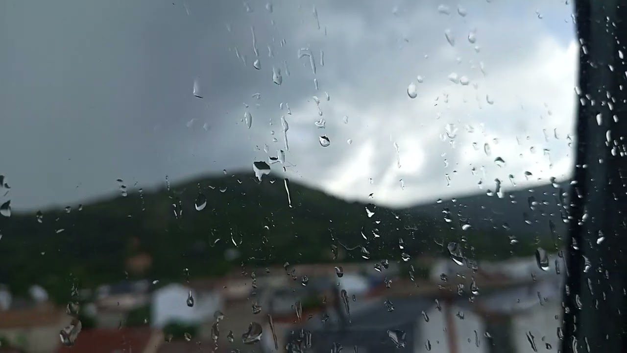 que-fauna-se-encuentra-en-Que-hacer-en-la-Sierra-de-Madrid-si-llueve - La Sierra Noticias qué fauna se encuentra en Qué hacer en la Sierra de Madrid si llueve