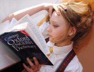 732797 - Delan Language Consulting - La Sierra Noticias