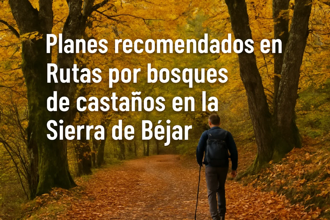 planes-recomendados-en-Rutas-por-bosques-de-castanos-en-la-Sierra-de-Bejar - La Sierra Noticias planes recomendados en Rutas por bosques de castaños en la Sierra de Béjar