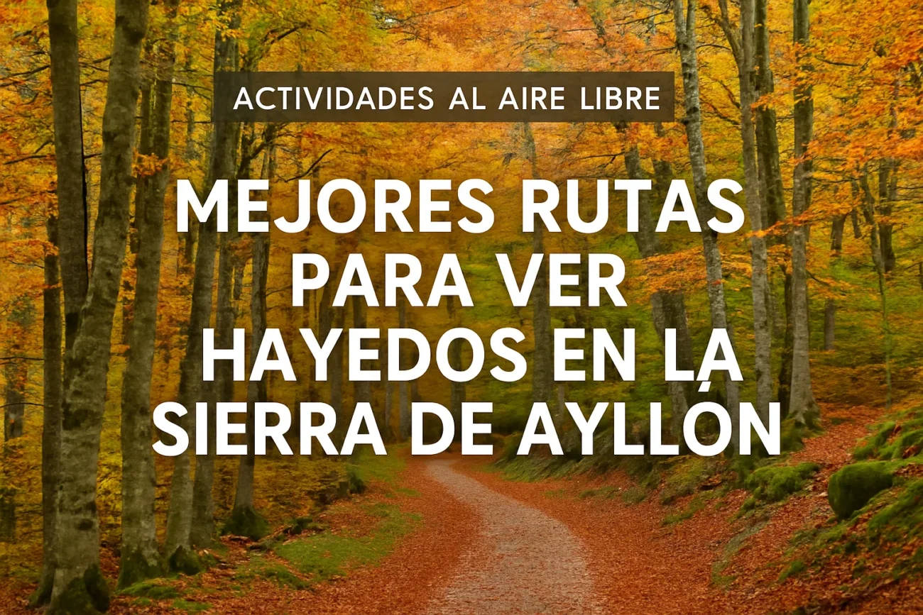 actividades-al-aire-libre-en-Mejores-rutas-para-ver-hayedos-en-la-Sierra-de-Ayllon - La Sierra Noticias actividades al aire libre en Mejores rutas para ver hayedos en la Sierra de Ayllón