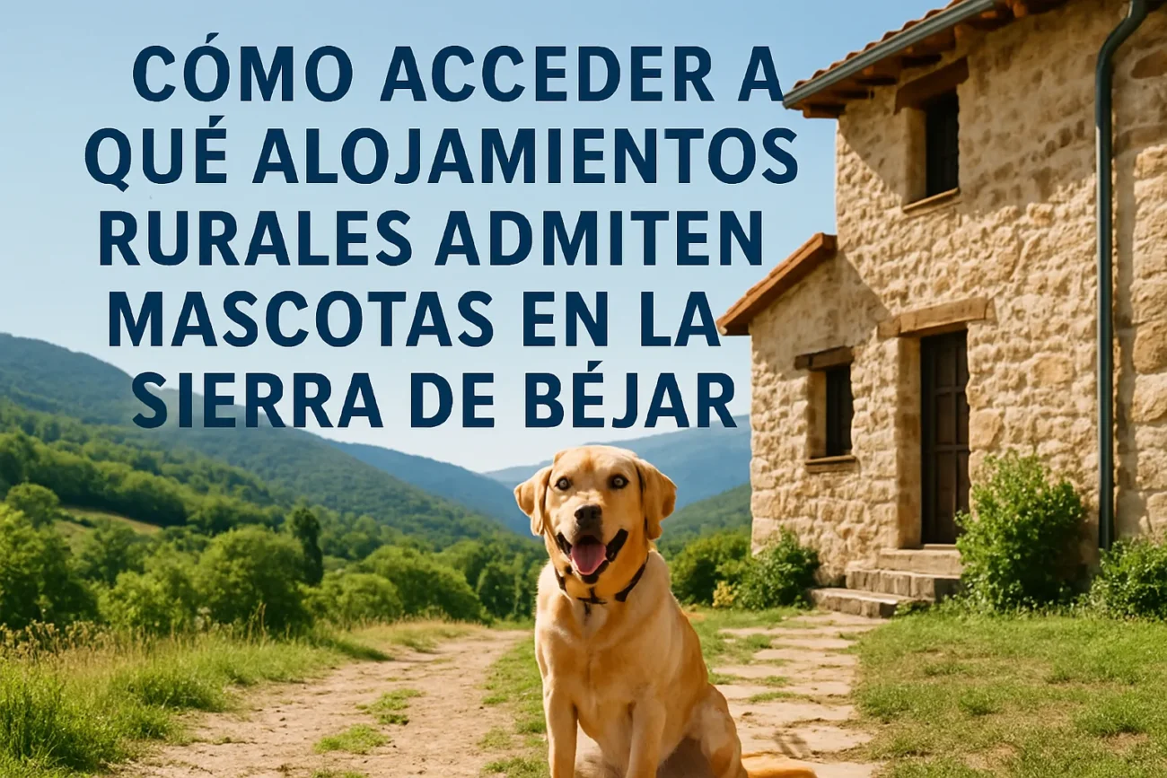 cómo acceder a Qué alojamientos rurales admiten mascotas en la Sierra de Béjar