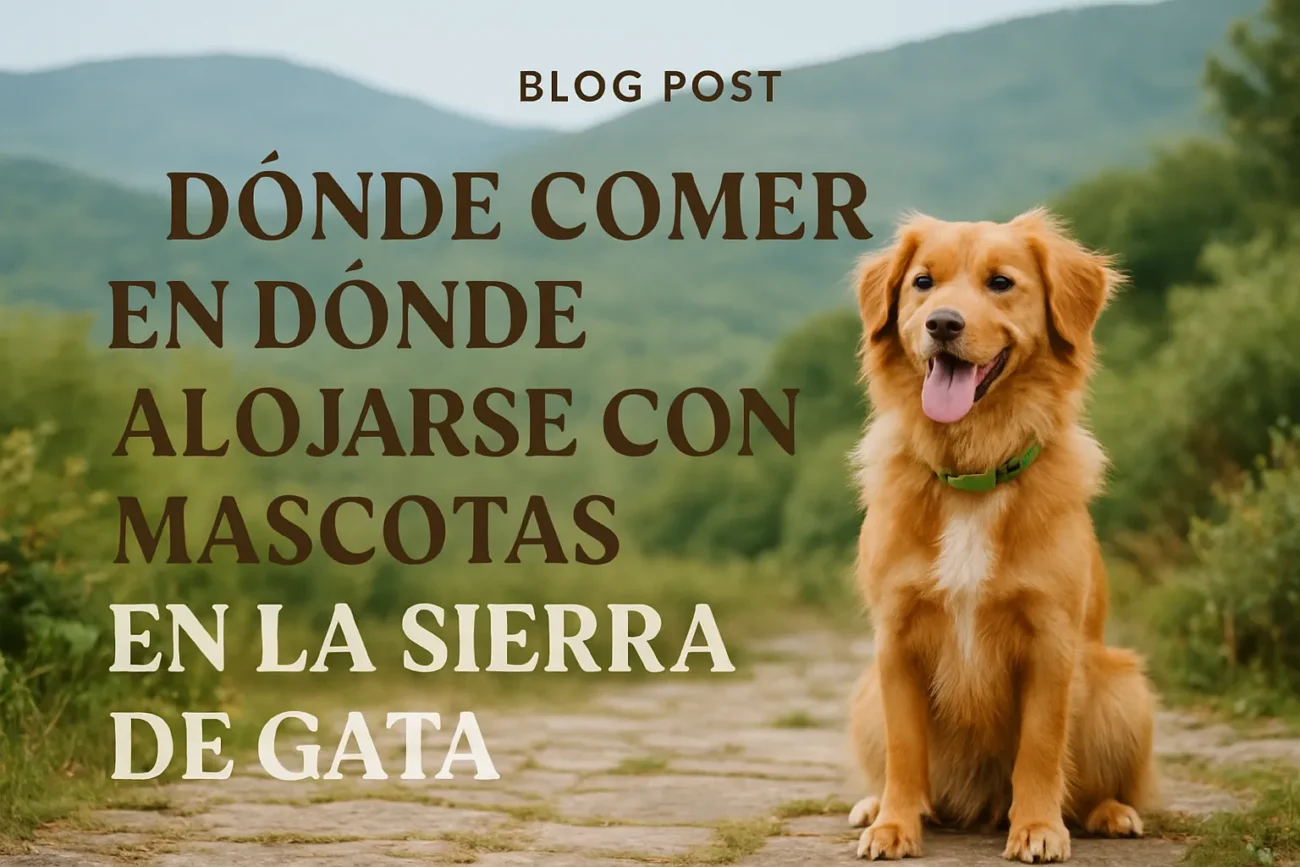 donde-comer-en-Donde-alojarse-con-mascotas-en-la-Sierra-de-Gata - La Sierra Noticias dónde comer en Dónde alojarse con mascotas en la Sierra de Gata