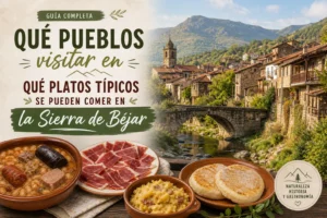 que-pueblos-visitar-en-Que-platos-tipicos-se-pueden-comer-en-la-Sierra-de-Bejar - La Sierra Noticias qué pueblos visitar en Qué platos típicos se pueden comer en la Sierra de Béjar